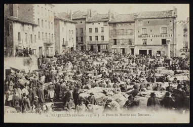 Postkarte, die den Viehmarkt in Pradelles, um 1900 darstellt